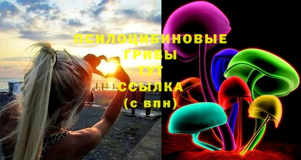 мяу мяу мука Медногорск
