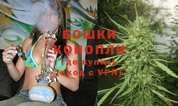 Альфа ПВП Мегион